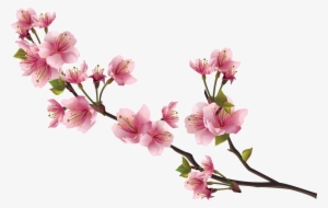 Sticker Mural - Branche De Cerisier - 40x19 Cm - Wall-art.fr