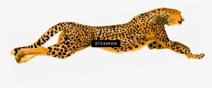 Cheetah Animals - Cheetahs Rock Rectangle Sticker
