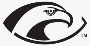 You Are Here - Hawk Eye