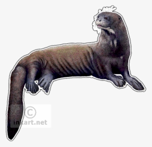 Giant River Otter Decal - Giant River Otter Png - 568x550 PNG Download