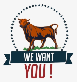 We Want You Bull - Uncle Sam We Want You