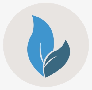 Lighthouse-growth - Portable Network Graphics