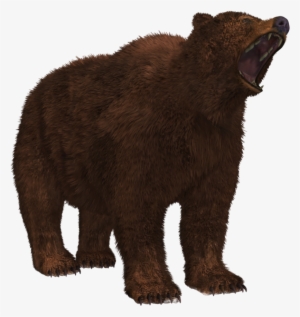 Bear Png 8 Png Image - Grizzly Bear