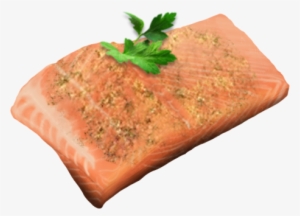 Salmon