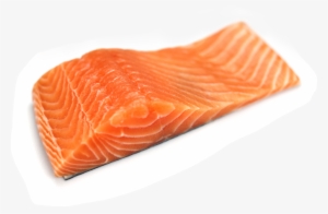 Salmon - Seafood