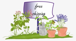 Free Shipping - Flowerpot