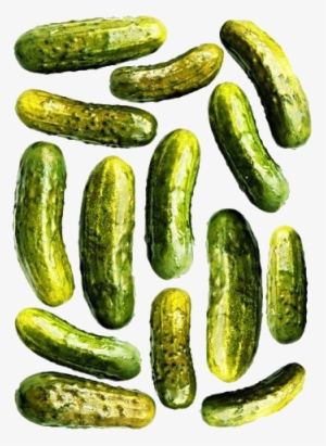 Fermented Pickles - Pickling