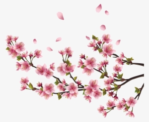 Adesivo De Parede Flor De Cerejeira Sakura - P 94x64cm