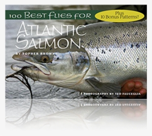 100 Best Flies For Atlantic Salmon - 100 Best Flies For Atlantic Salmon By Topher Browne