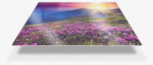 Make Your Favorite Memories Shine With Our New Metal - Easy Canvas Metal Prints