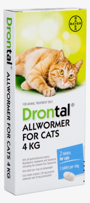 Drontal Worm Treatment For Cats 4kg 2 Tab Pack-a176794 - Drontal Cat