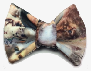 The Meta Cat Bow Tie