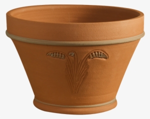 Rhs Bluebell Planter - Terracotta Pot