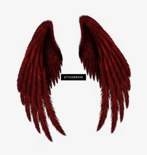 White Angel Wings - Illustration