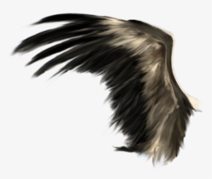 White Angel Wings - Realistic Devil Wings Png