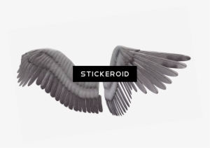 White Angel Wings - Portable Network Graphics