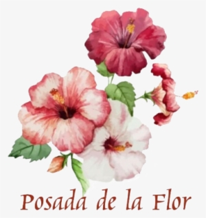 Flower Drawing In Colour