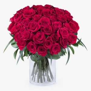 50 Shades Of Red - Significado De La Cantidad De Rosas Que Te Regalan