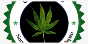 International Conference On Cannabis And Medicinal - Cannabis