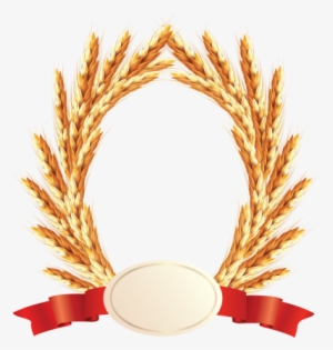 Wheat Png, Download Png Image With Transparent Background, - Arroz Png