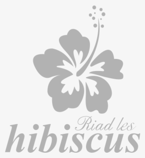Riad Hibiscus - Car Stickers Hibiscus Flower Sticker