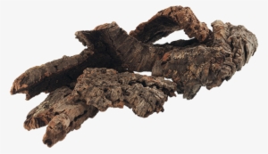 Roots, 3, Photoshop, Plants - Fantasy Root Plant