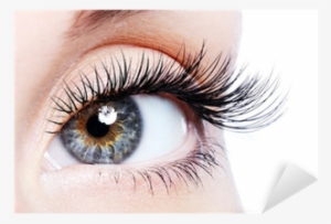 Beauty Female Eye With Curl Long False Eyelashes Sticker - Organic Castor Oil By Sky Organics