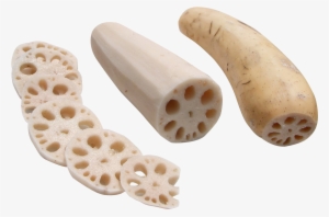 Lotus Root Png