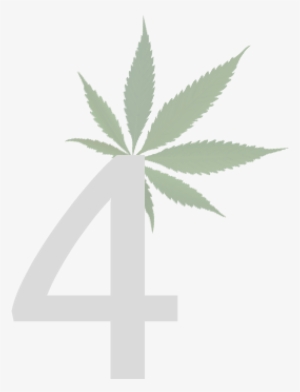 Legal Marijuana Dispensaries - Cannabis Leaf