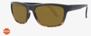 Sunglass Name - Sunglasses