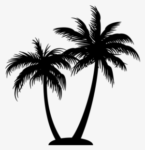 Palm Tree Logo On Black And White - Coconut Tree Silhouette Png