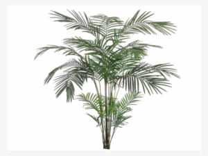7' Tropical Areca Palm X4 With 705 Leaves - Silk Plants Direct Areca Palm Tree - Green - Pack Of