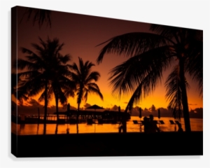 Palm Trees Silhouette On Sunset Tropical Beach Canvas - Palmen Hintergrund
