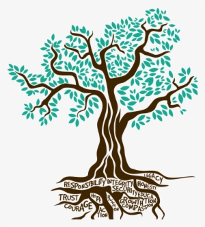 Growing Roots - Arbol De Olivo Dibujos