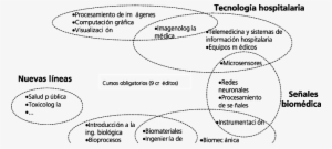 Líneas De La Opción En Bioin- Geniería - Illustration