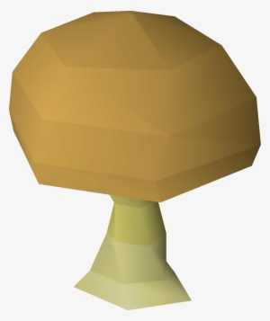 Wiki