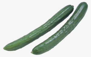 Cucumber Background Transparent