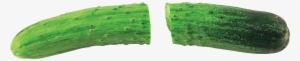 Cucumber