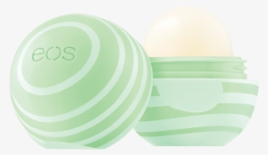 Cucumber Melon - Evolutionofsmooth - Cucumber