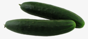 Pickled Cucumber