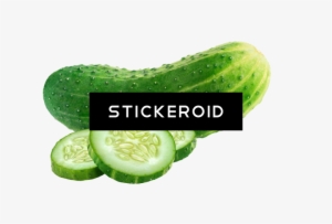 Cucumber
