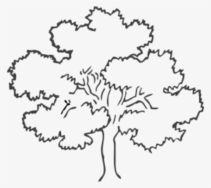 Clip Art Black And White Tree