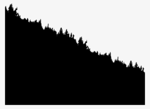 Big Image - Shortleaf Black Spruce