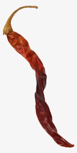 Dried Chilli Pepper - Portable Network Graphics