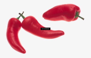 Pepper - Sweet And Chili Peppers