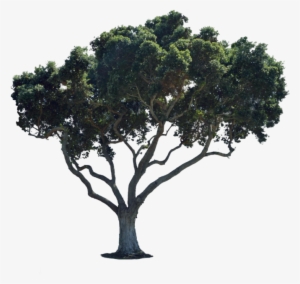 Street Png For Photoshop