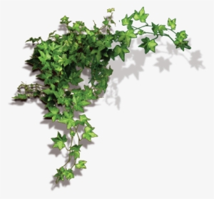 Christmas Garland Border Png - Висячий Цветы Пнг