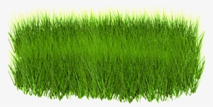 A Piece Of Grass Transparent Decorative - Green Grass In Png