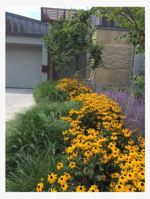 Our Complete Property Maintenance Program Offers A - Paragon Landscape Construction, Inc