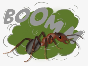 Jodi Ralston Exploding Ant Camponotus Saundersi - Spreadshirt T-shirt Explosion